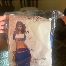 Seductive Gypsy Halloween Costume
