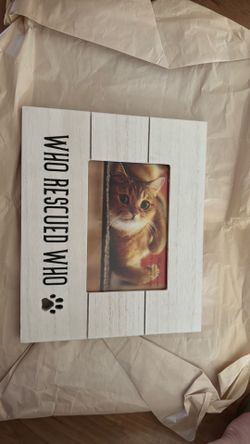 Cat frame or dog