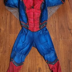 Spiderman full Costume no mask