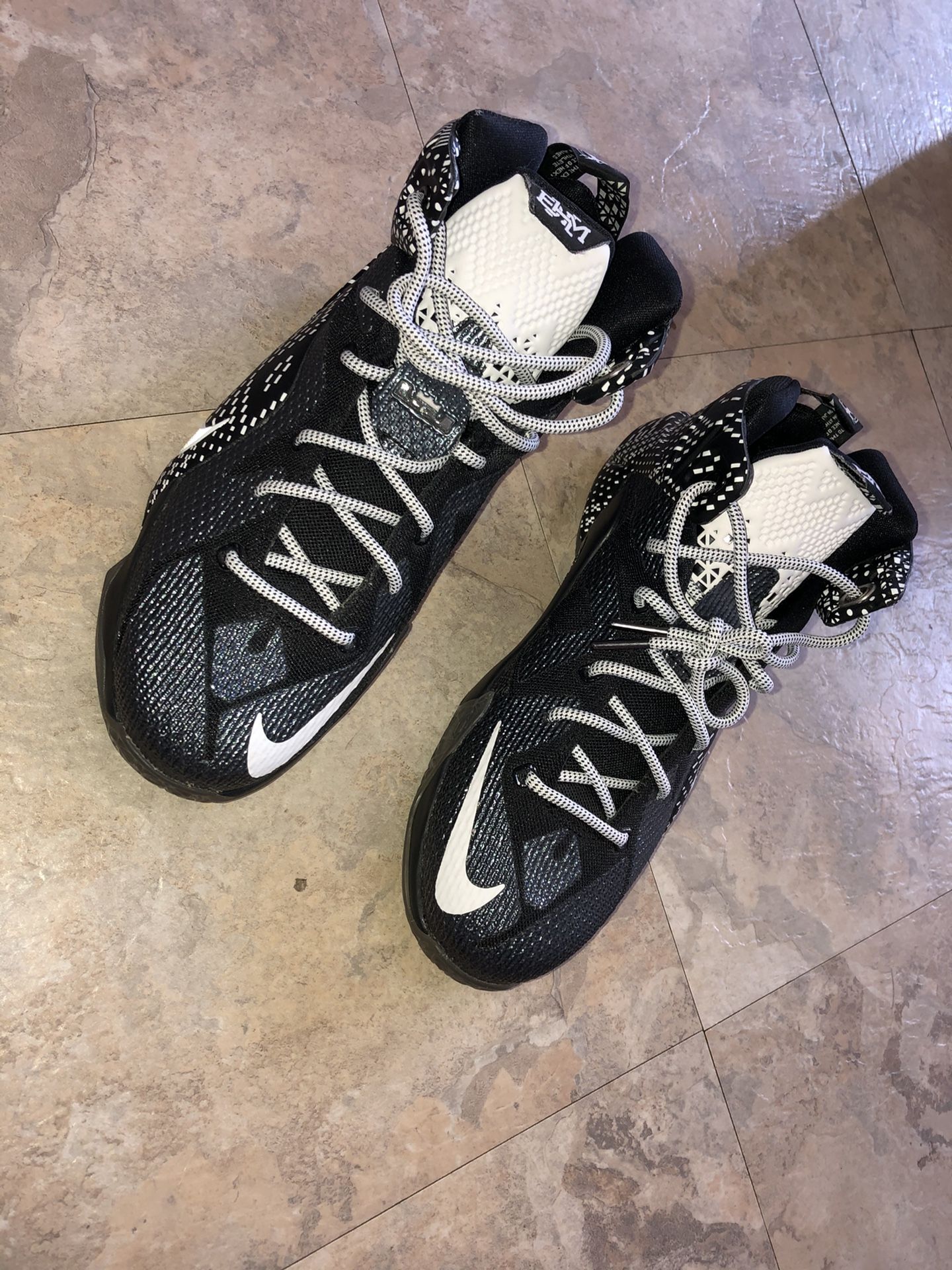 Lebron 12 “Black History Month” shoes