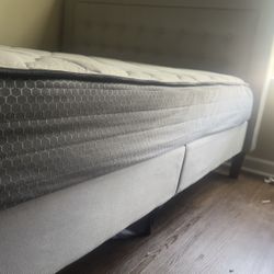 Bed With Frame