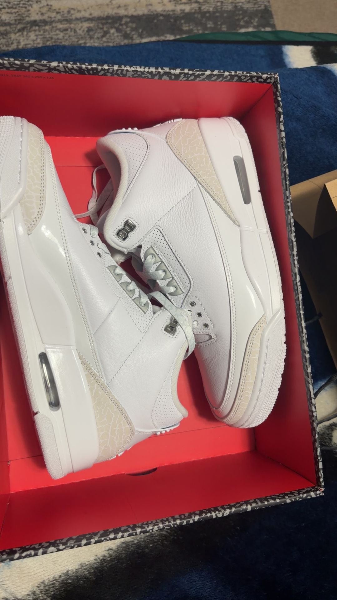 Air Jordan 3 pure money