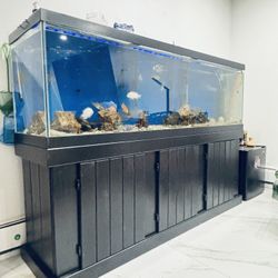 Fully Equipped 120-Gal Tank – MarineLand Filters + Loop Lighting!