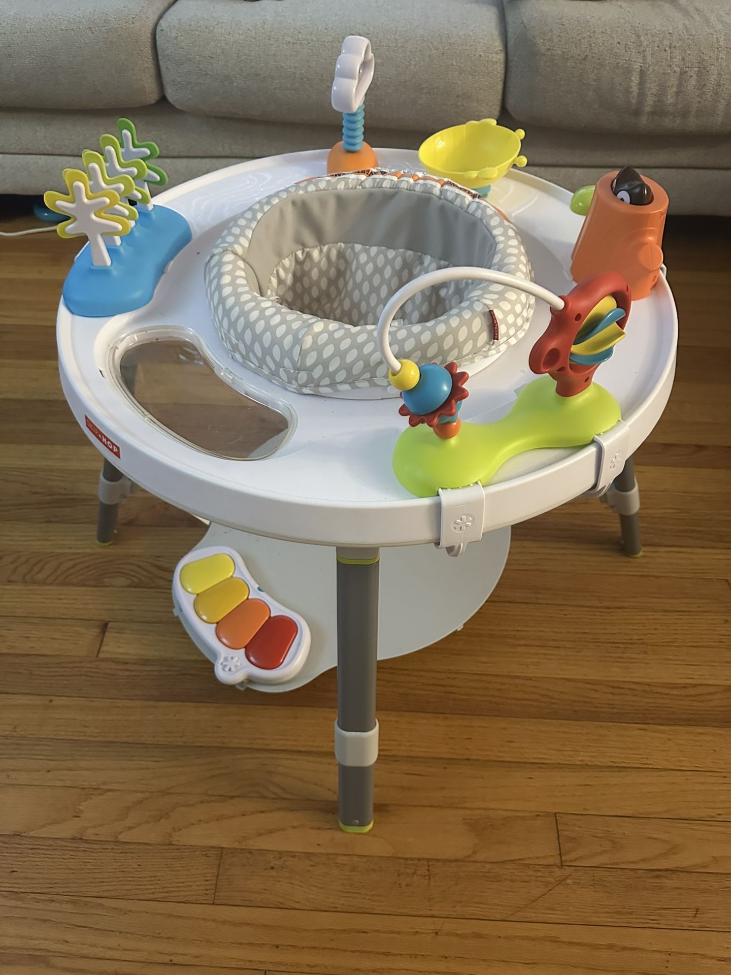 Skip Hop Activity Center