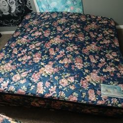 California King Bed 
