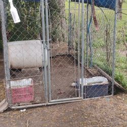 Dog Kennel 