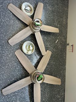 Ceiling Fan with light
