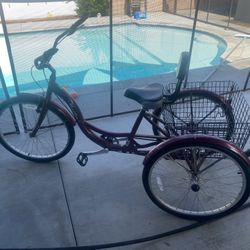 Schwinn Meridian