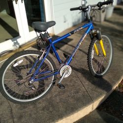 Raleigh M-45 Mountain Trail Bike