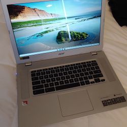 Acer Chromebook 315 Touch Screen 15"  LAPTOP NOTEBOOK COMPUTER Working Great And Charger  