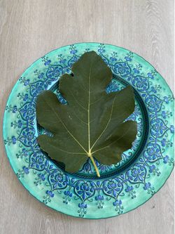 Fresh organic fig leaves