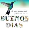 Maria Fuentes