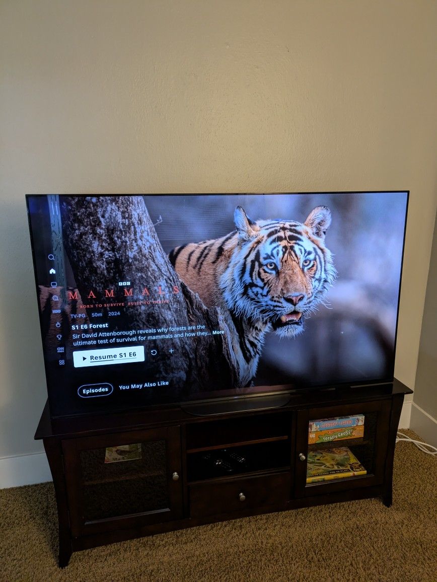 65" Inch Sony A9G Master Series OLED Smart 4K TV