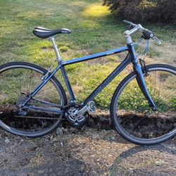 Giant Escape Small Size Japanese Spec 24 Speed Hybrid Bicycle 