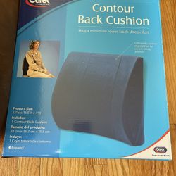 Back cushion