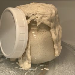 Sourdough Starter