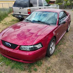 2003 2003 Ford Mustang