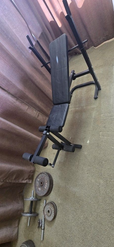 Weight Bench And Weights