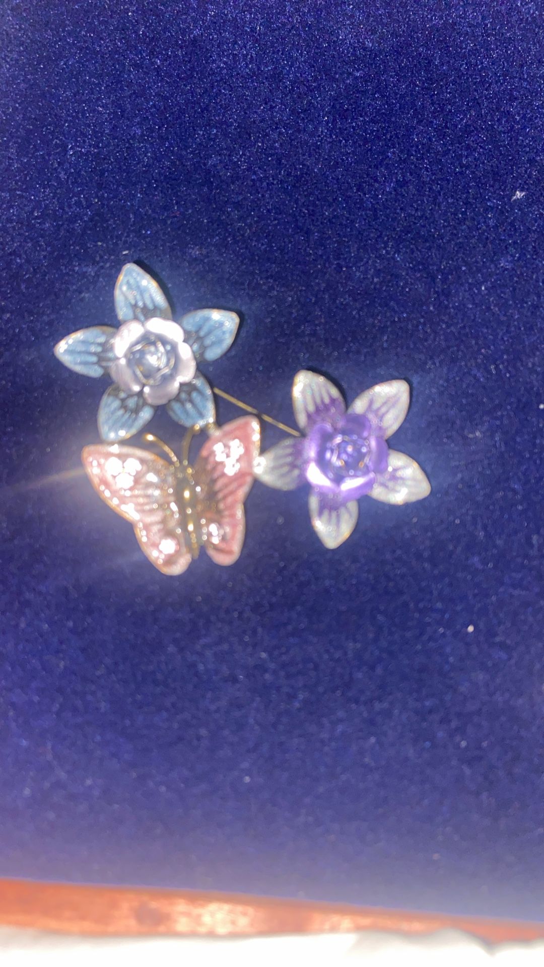 Beautiful Brooch.  