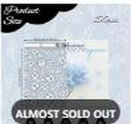 Cherry Blossoms Poly Mailers 10x13in 100pc
