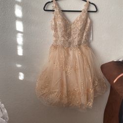 Champagne Gold dress 