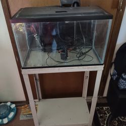 Aquarium 10 Gal
