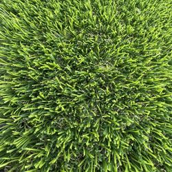Artificial Grass Roll Clearance Sale 95oz Top Quality 7.5x20 For $250