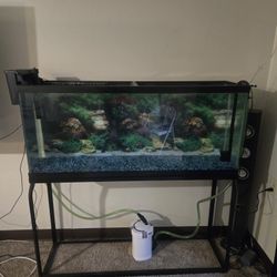 55 https://offerup.com/redirect/?o=Z2FsbG9uLkZpc2g= tank. It comes, we what you see..