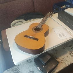 Ibanez Classic Acoustic Left Handed Guitar