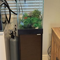 15 Gallon Column Fish Tank And Stand