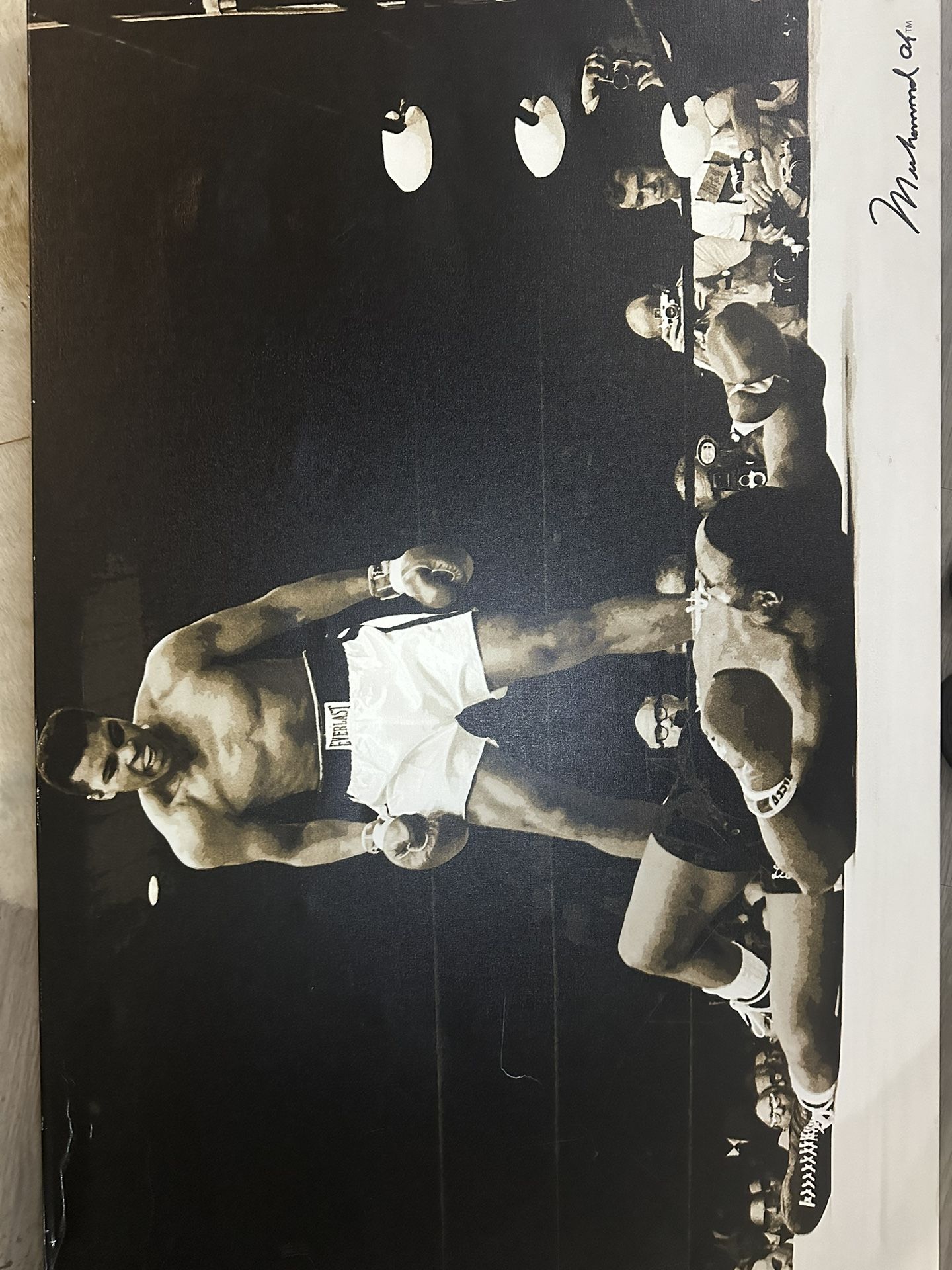Muhammad Ali - 26 X 40