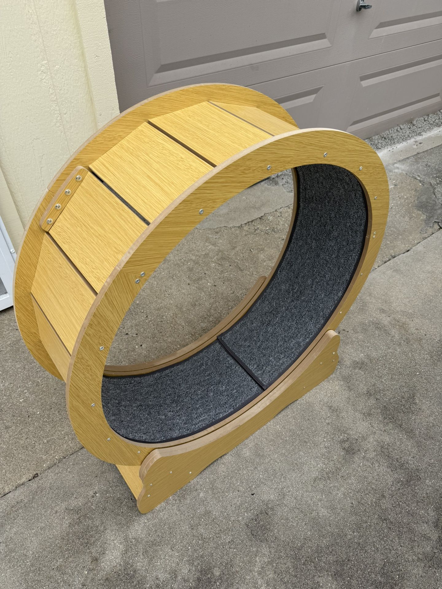 Cat Wheel For Cardio.