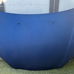 02-04 Acura Rsx Type S Hood 