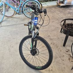 24 Inch Giant Mountain Bike