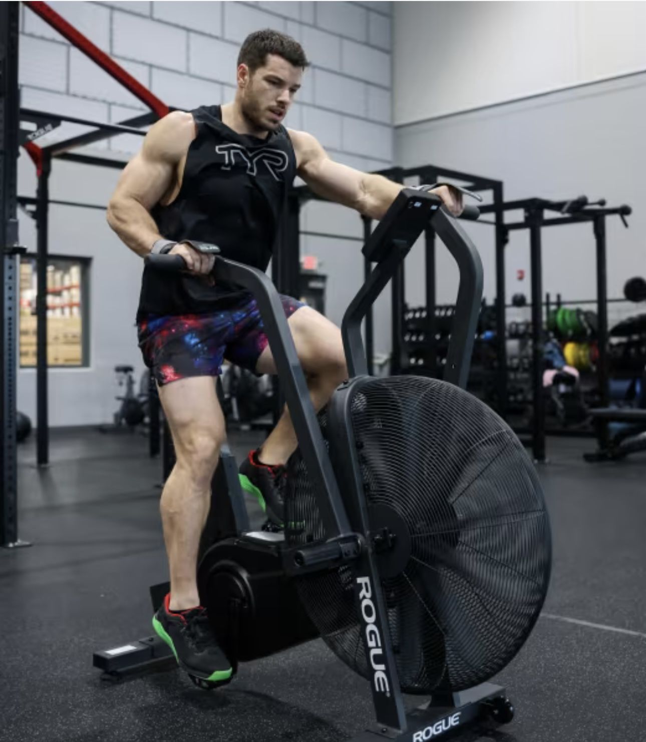 Rogué Echo Bike