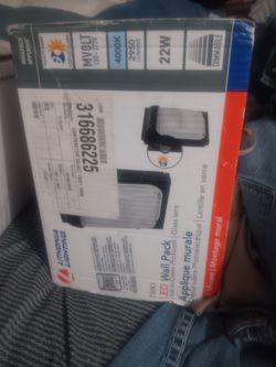 Flood light