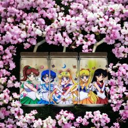 Sailor Moon - 16oz Glass Cup