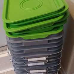 Empty Cat Litter Containers