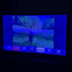 65 Inch Vizio TV 