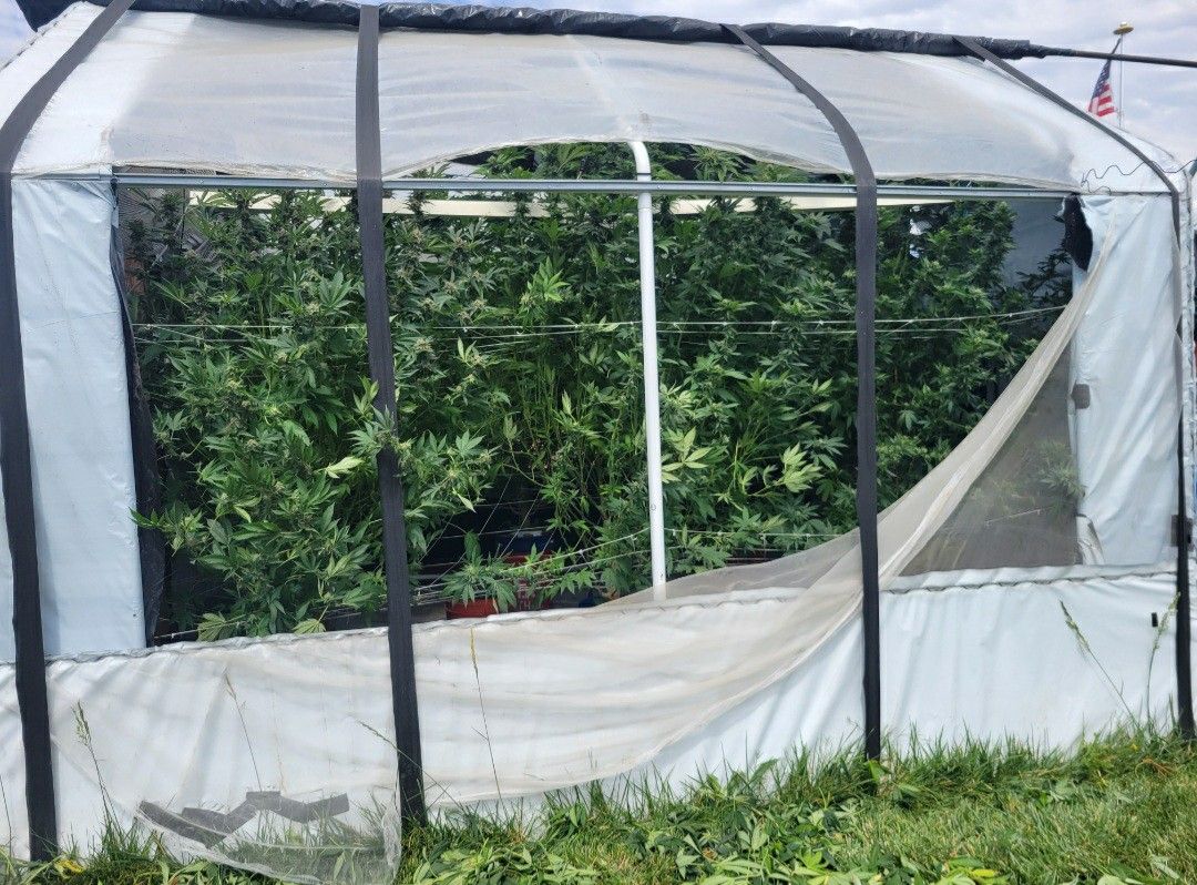 Automatic Greenhouse with Everything Included (Read Description Below)