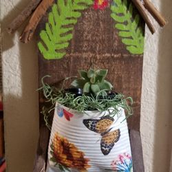 Plants arrangement With Succulent 