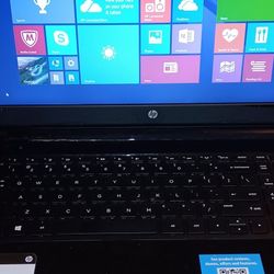 Hp Windows 8 Laptop 