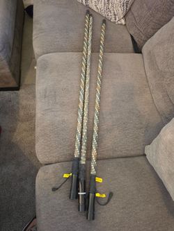 Razor or can-am whips