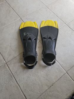 Used Hollis F1