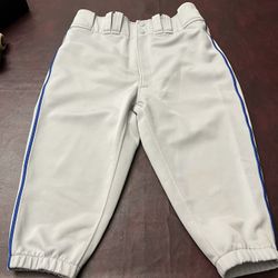 Mizuno Baseball Knickers