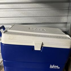 Igloo 58 Quart Cooler