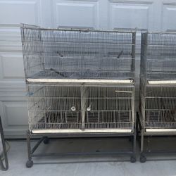 Bird Cage 