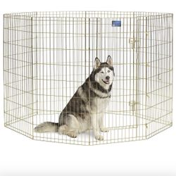 Kennel Dog