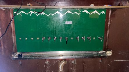 Multi-Tap Draft Beer Dispensing Panel