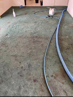 Carpet Cleaner